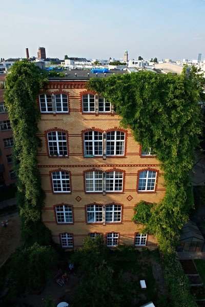 50 Mittelweg, photo by Franz Brück